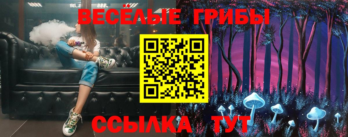 купить наркоту  Галлюциногенные грибы MAGIC MUSHROOMS  Вход с VPN  Россошь 